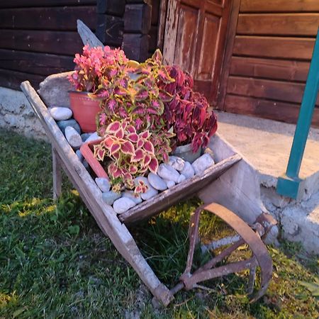 Bungalovi Vukovic Mojkovac Extérieur photo