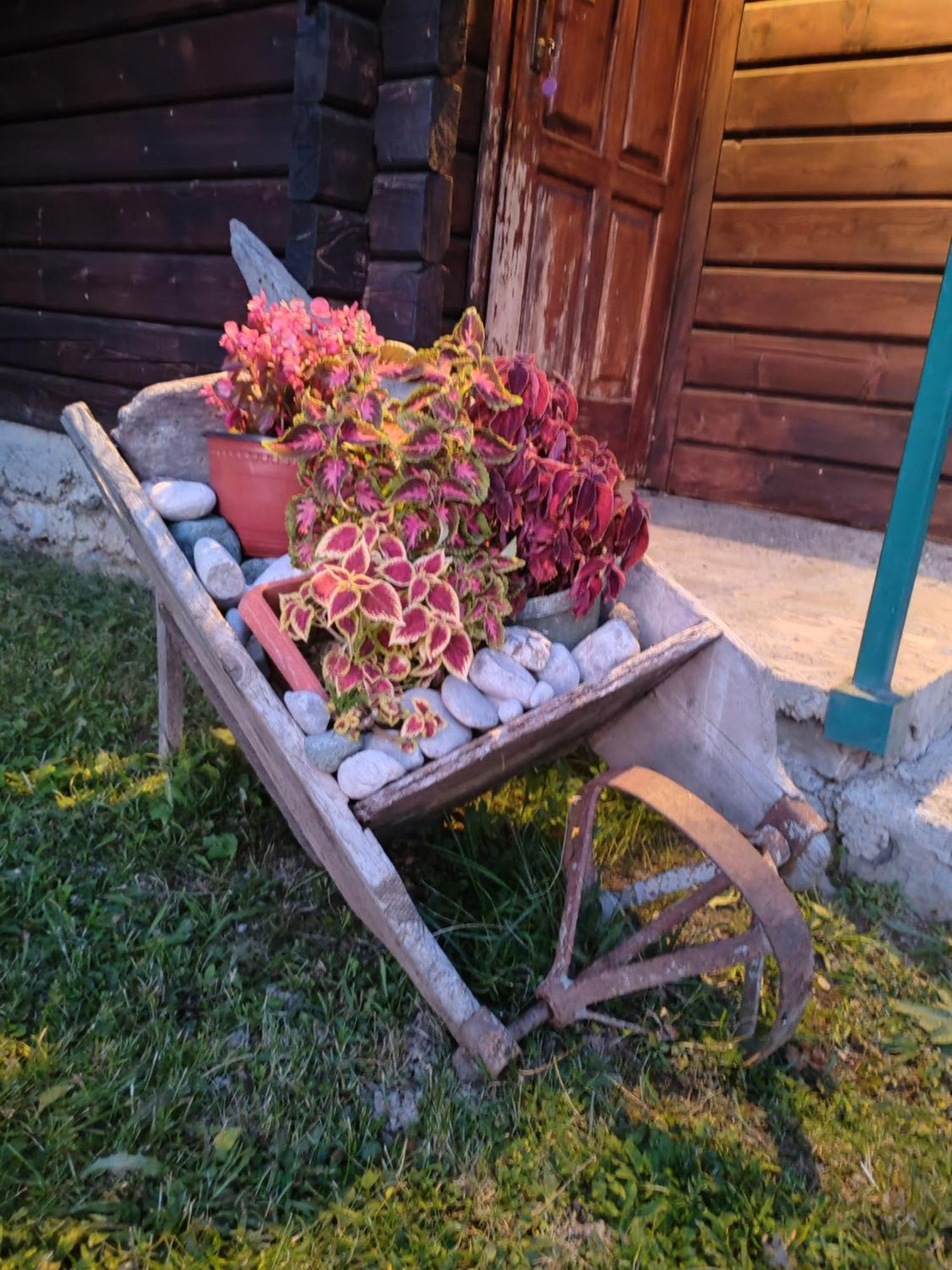 Bungalovi Vukovic Mojkovac Extérieur photo