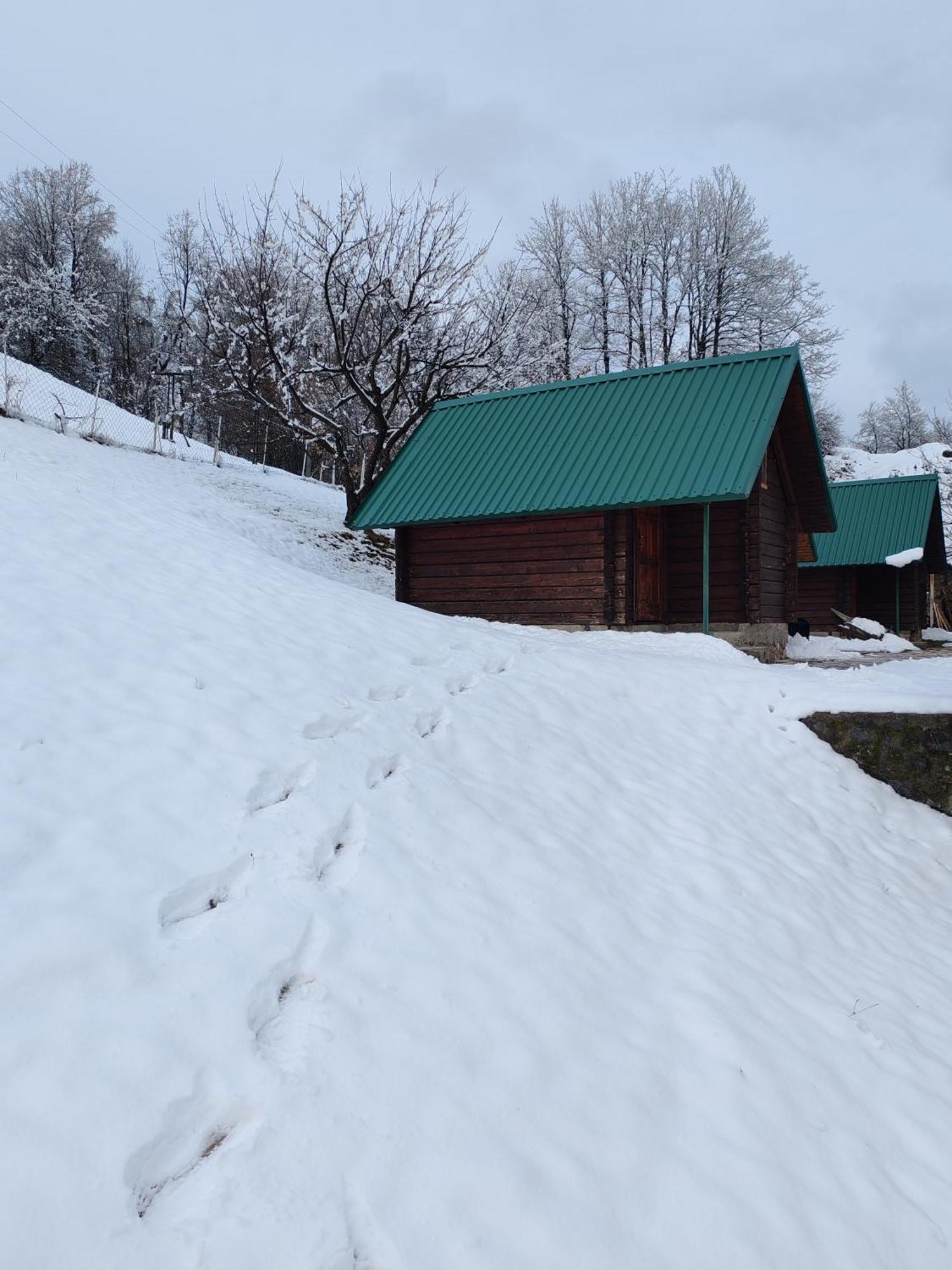 Bungalovi Vukovic Mojkovac Extérieur photo